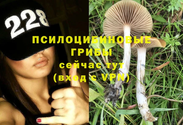 ALPHA-PVP Михайлов