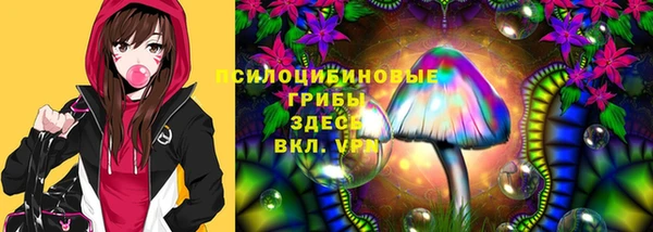 прущий лед Михайловск
