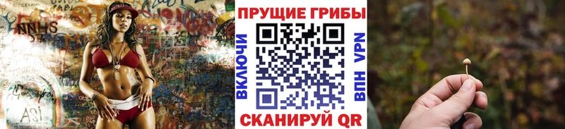 Галлюциногенные грибы Psilocybine cubensis  Правдинск 